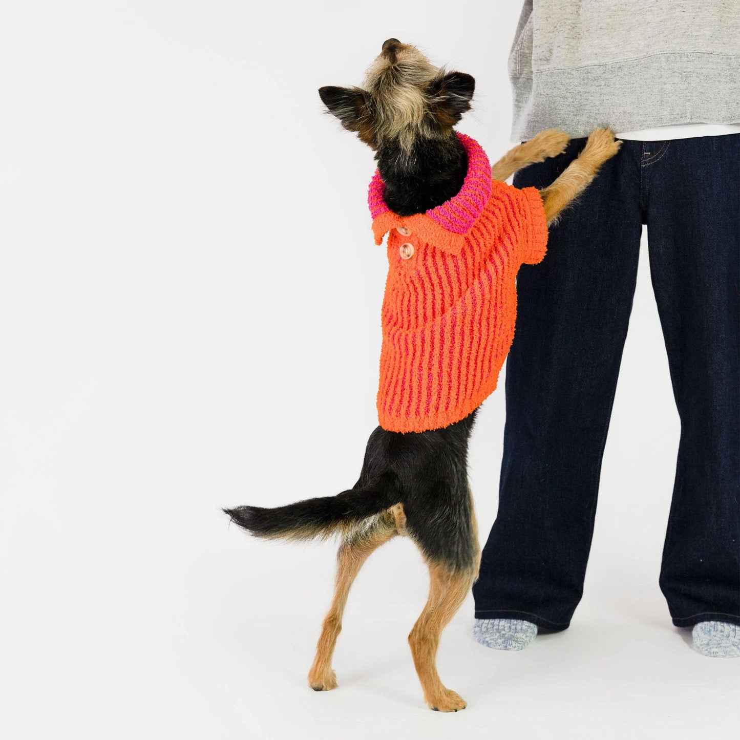 Pull côtelé pour chien - Orange & Rose - The Furryfolks