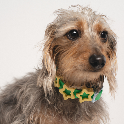 CHARMS POUR CHIENS EN SILICONE - VERT - SPRINGERLAND PETS