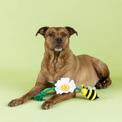 Jouet pour chien Fleur & Abeilles à tirer – Petshop by Fringe Studio
