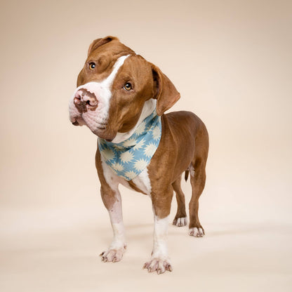 Bandana pour chien Pagi - The Paws