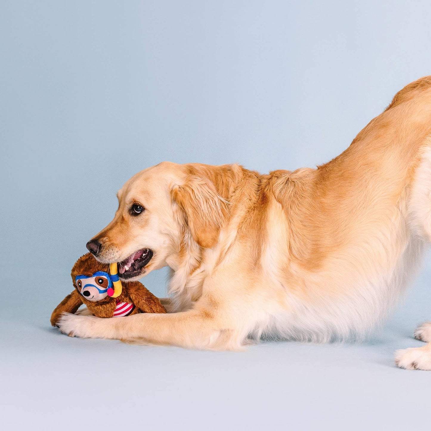 Jouet pour chien Paresseux Nageuse - Petshop by Fringe Studio