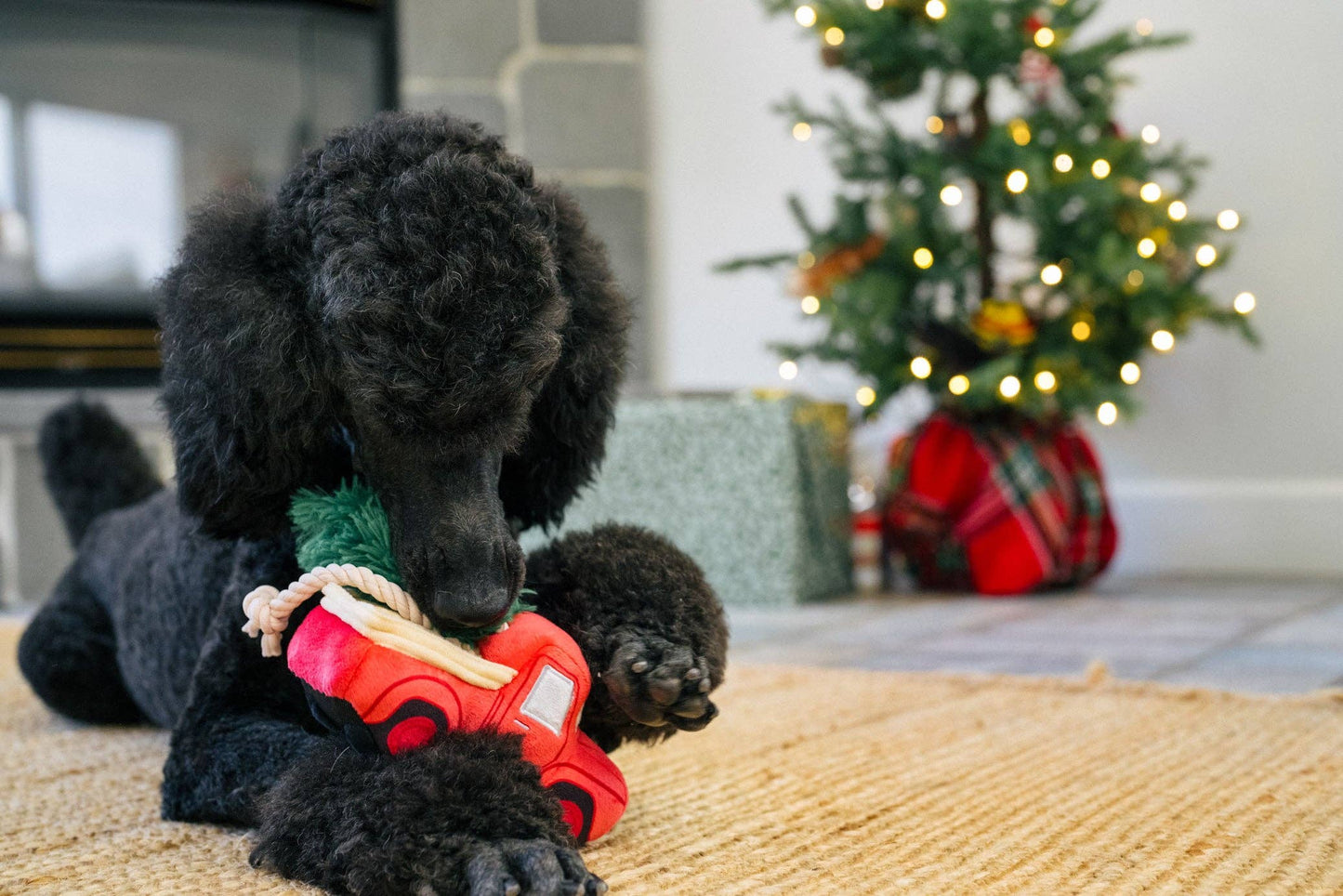 PELUCHE DE NOËL POUR CHIEN - CAMION AVEC SAPIN