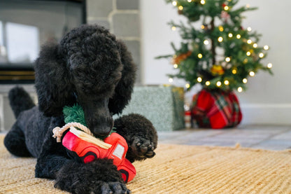 PELUCHE DE NOËL POUR CHIEN - CAMION AVEC SAPIN