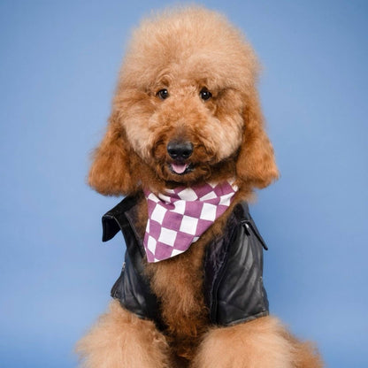 Bandana pour chien à carreaux prune - The Paws