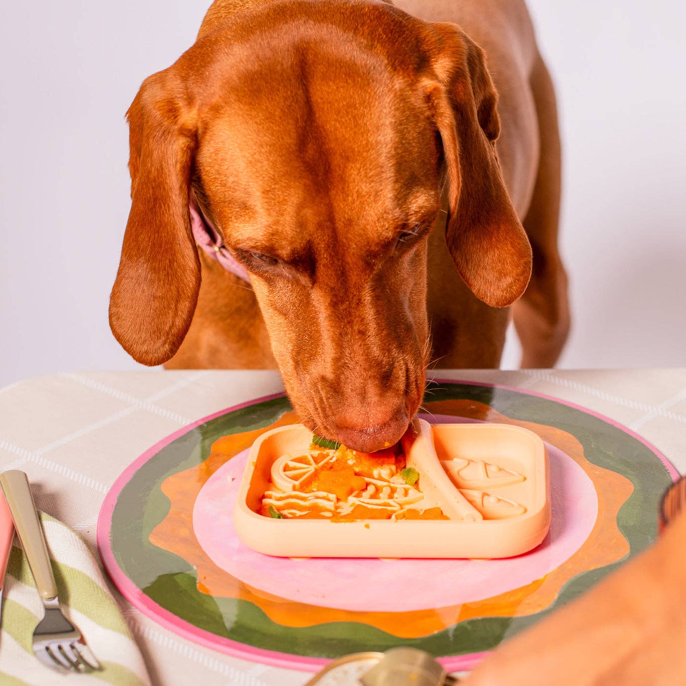 Tapis de léchage pour chien - Boite de sardine Orange - Awoo