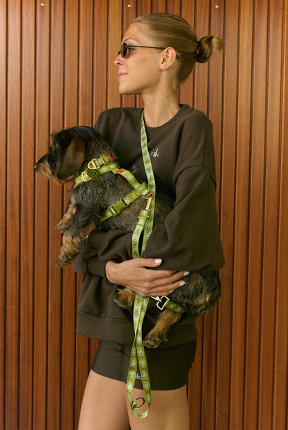 Laisse mains libre pour chien - Vert - Furmey