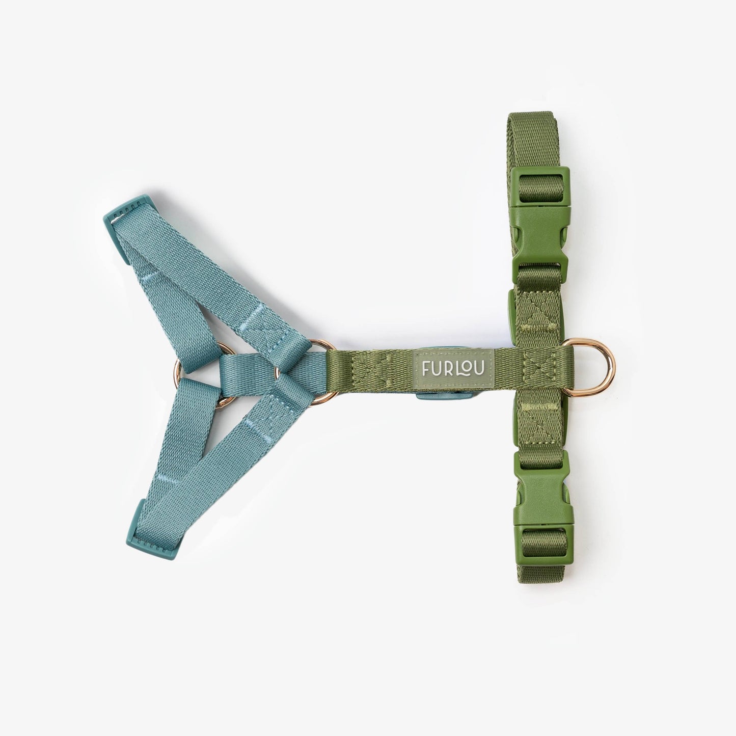 Harnais pour chien 5 POINTS - Bleu + Vert - Furlou
