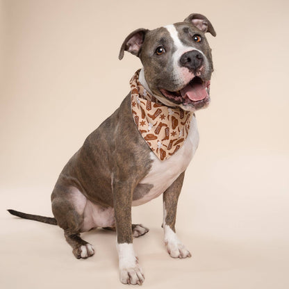 Bandana pour chien cow-boy - The Paws