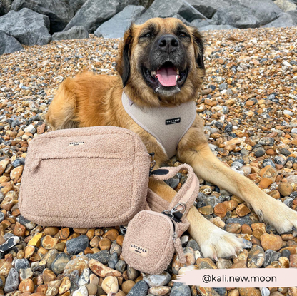 Pochette à friandises - Teddy Rupert - Cocopup