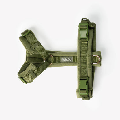 Vert - Harnais pour chien en velours - Furlou