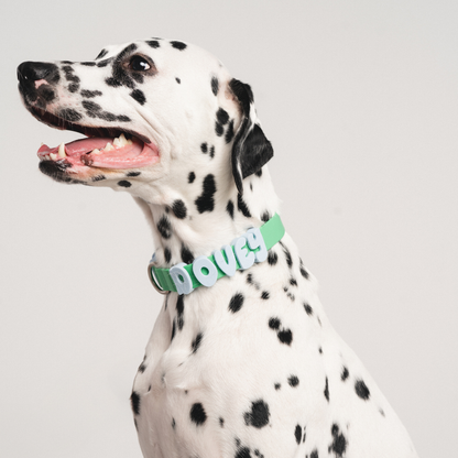 Charms pour chiens en silicone -  Bleu Ciel - Springerland Pets