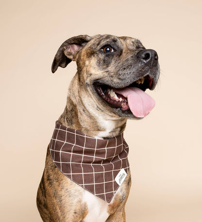 Bandana pour chien - Stratford -  Carreaux Marron - The Paws