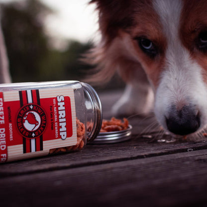 Friandises pour chiens KIWI Walker -  Poisson Blanc