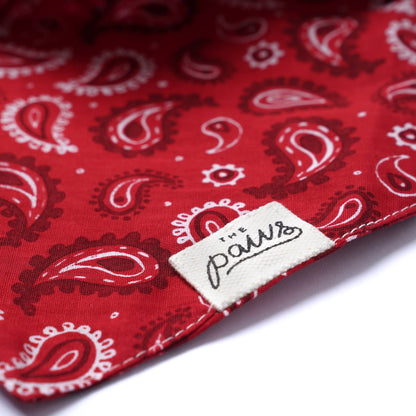 Bandana pour chien de Dallas - Rouge - The Paws