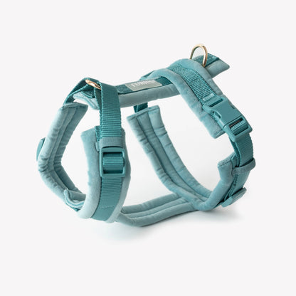 Bleu - Harnais pour chien en velours -  Furlou