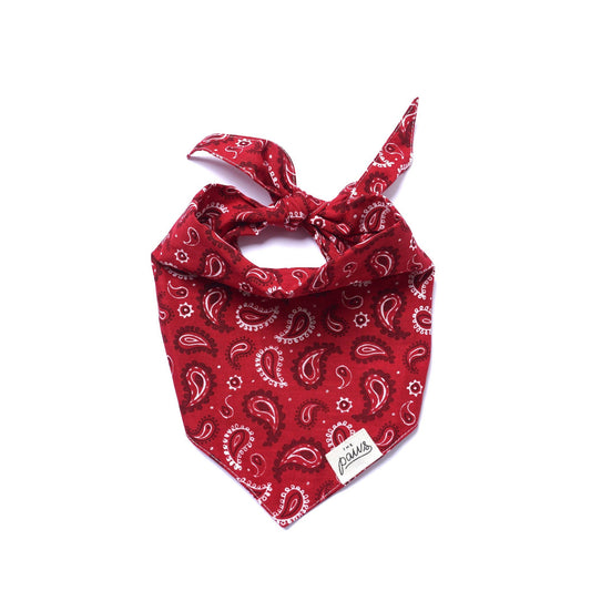 Bandana pour chien de Dallas - Rouge - The Paws