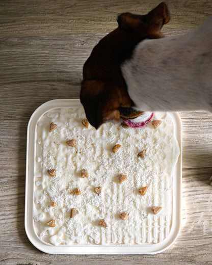 Tapis de léchage pour chien - Vert