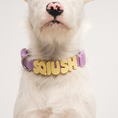 Charms pour chiens en silicone - Lilas -  SpringerLand Pets