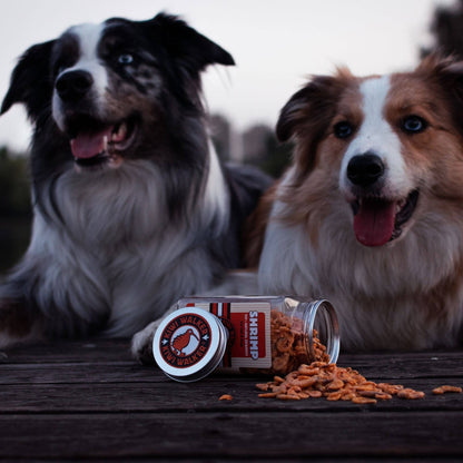 Friandises pour chiens KIWI Walker -  Poisson Blanc