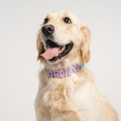 Charms pour chiens en silicone - Jaune Beurre - Springerland Pets