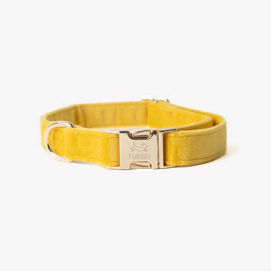 Collier pour chien en velours - Jaune - Furlou
