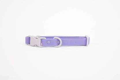 LE COLLIER POUR CHIEN - VIOLET - APPROVED BY FRITZ