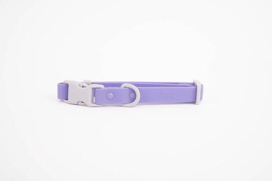 LE COLLIER POUR CHIEN - VIOLET - APPROVED BY FRITZ