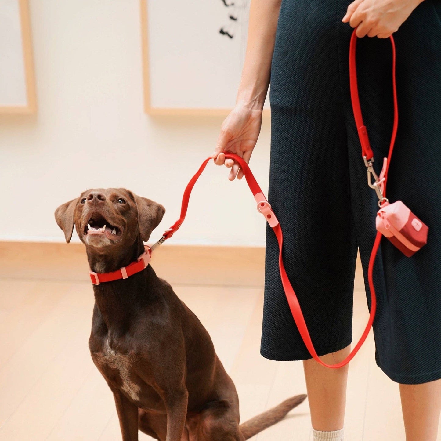Le collier pour chien Fritz : Rouge & Rose