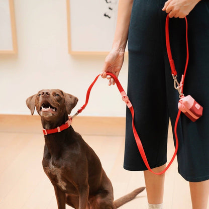 Le collier pour chien Fritz : Rouge & Rose
