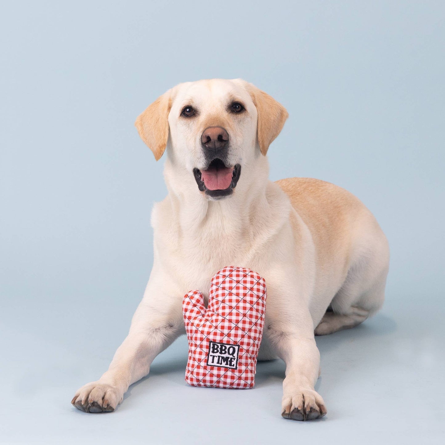 Jouet pour chien en gant de barbecue - Petshop