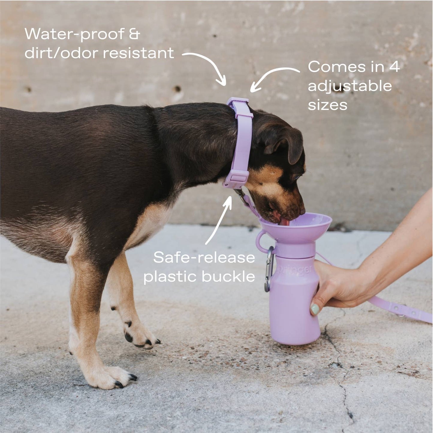 Collier pour chien imperméable - Rouge - Springland Pets