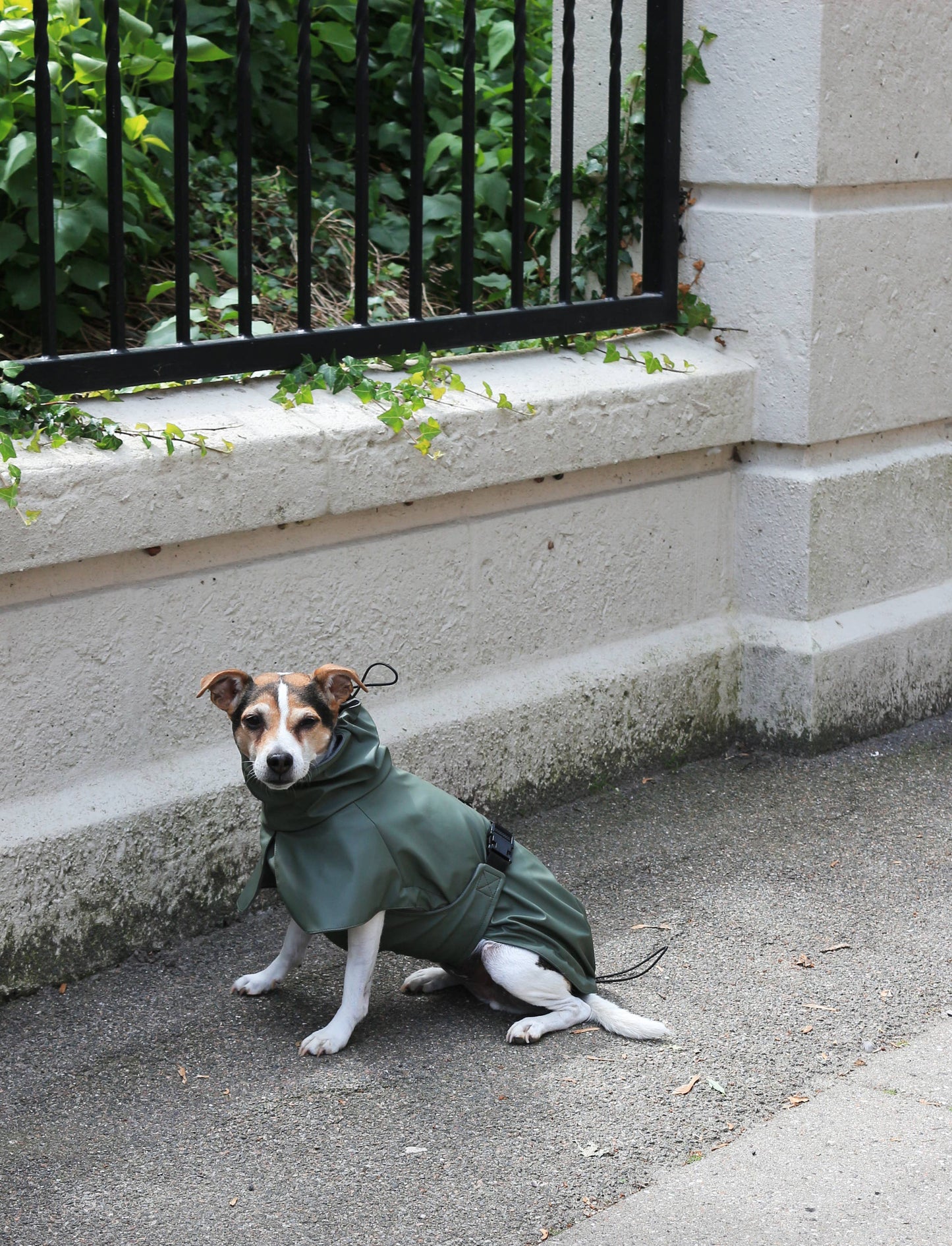 Imperméable pour chien vert - Tadazhi
