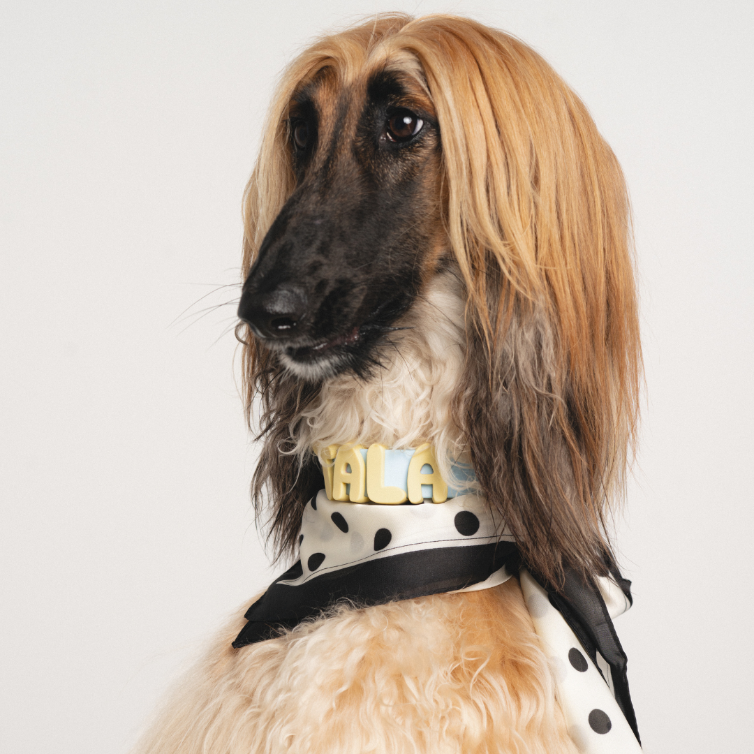 Charms pour chiens en silicone - Jaune Beurre - Springerland Pets