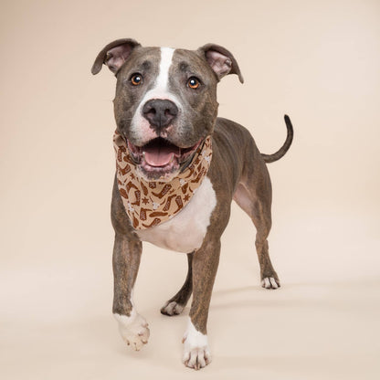 Bandana pour chien cow-boy - The Paws