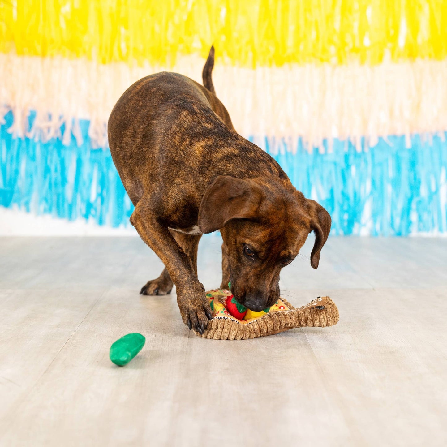Jouet de fouille pour chien - « Guitare Mexicaine » Fringe Studio