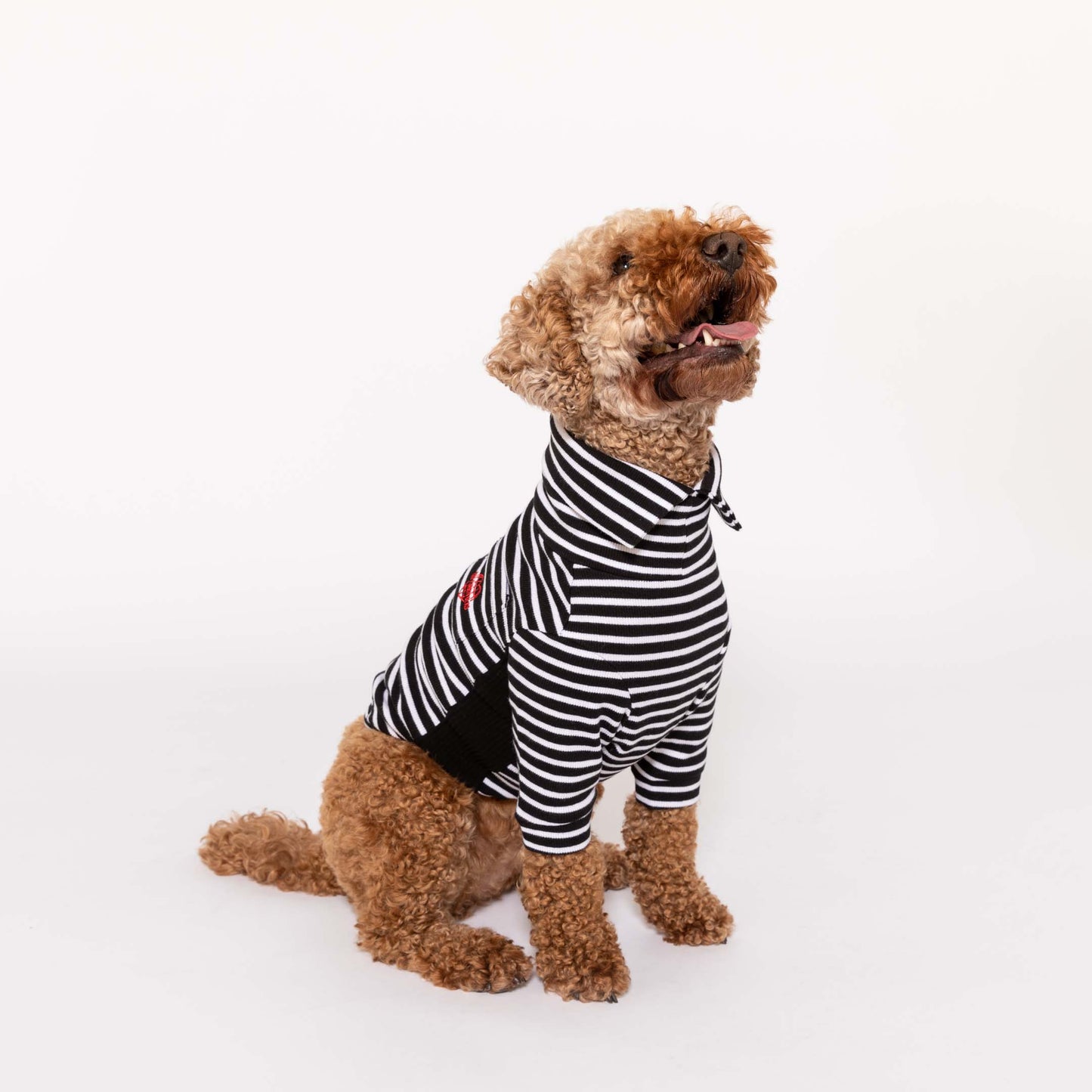 Pull pour chien à rayures - Noir et blanc - The Furryfolks