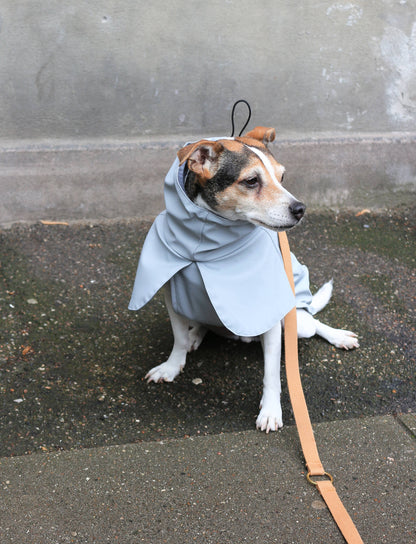 Imperméable pour chien gris clair - Tadazhi
