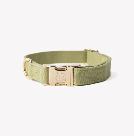 Collier pour chien en toile - Vert - Furlou