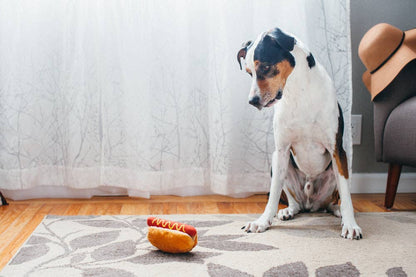 Jouet en peluche pour chien - Hot dog - P.L.A.Y