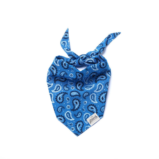 Bandana pour chien Ouest - Bleu - The Paws