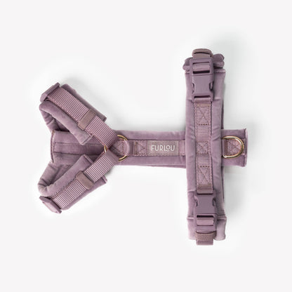 Lilas - Harnais pour chien en velours - Furlou