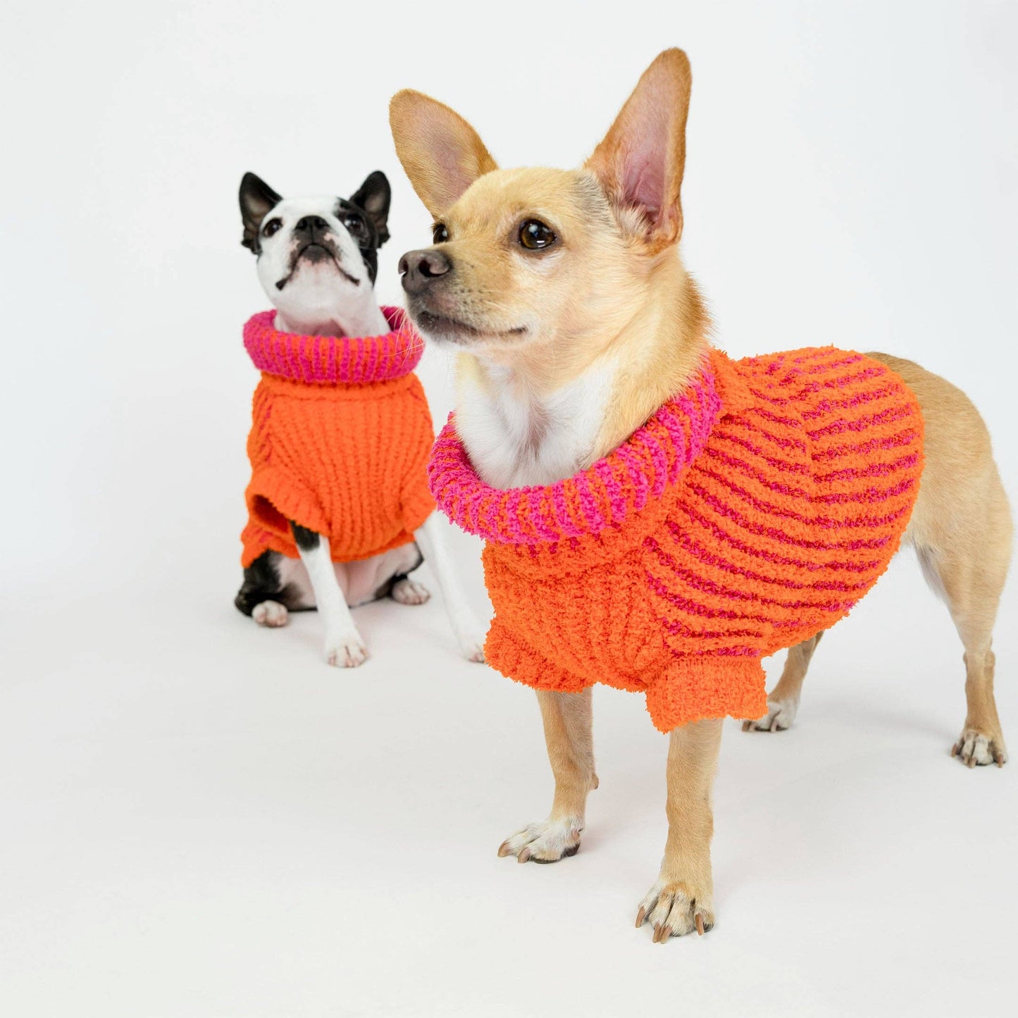 Pull côtelé pour chien - Orange & Rose - The Furryfolks
