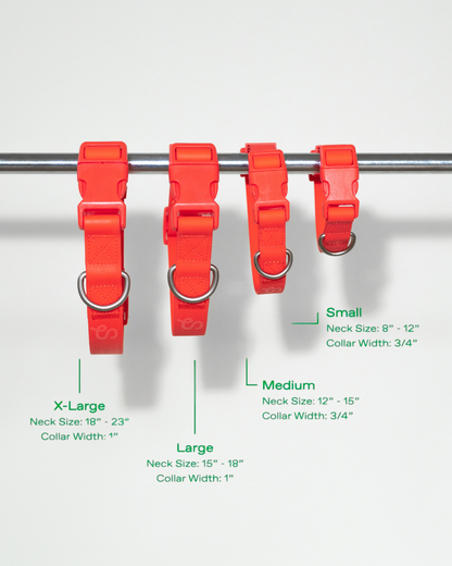 Collier pour chien imperméable - Rouge - Springland Pets