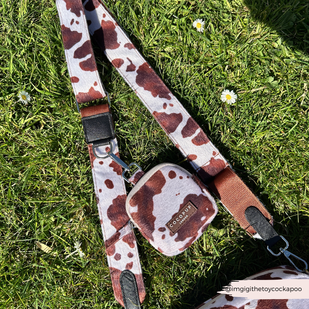 Pochette de friandises - Vache - Cocopup