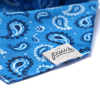 Bandana pour chien Ouest - Bleu - The Paws