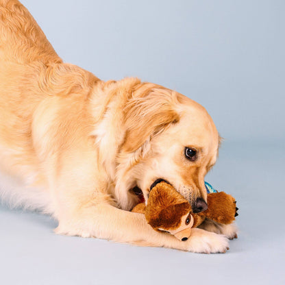 Jouet pour chien Paresseux Surfeur – Petshop by Fringe Studio