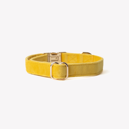 Collier pour chien en velours - Jaune - Furlou