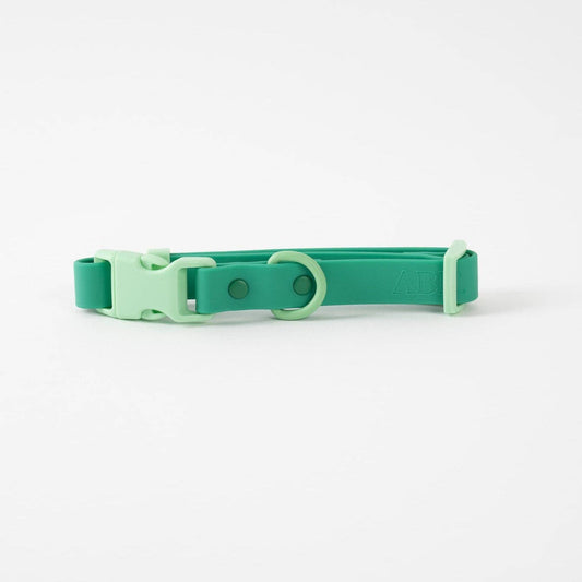 Le collier pour chien Fritz  - Vert Liberty