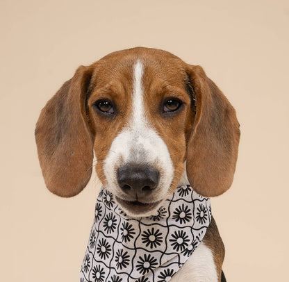 Bandana pour chien damier blanc & noir à fleurs - The Paws