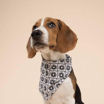 Bandana pour chien damier blanc & noir à fleurs - The Paws
